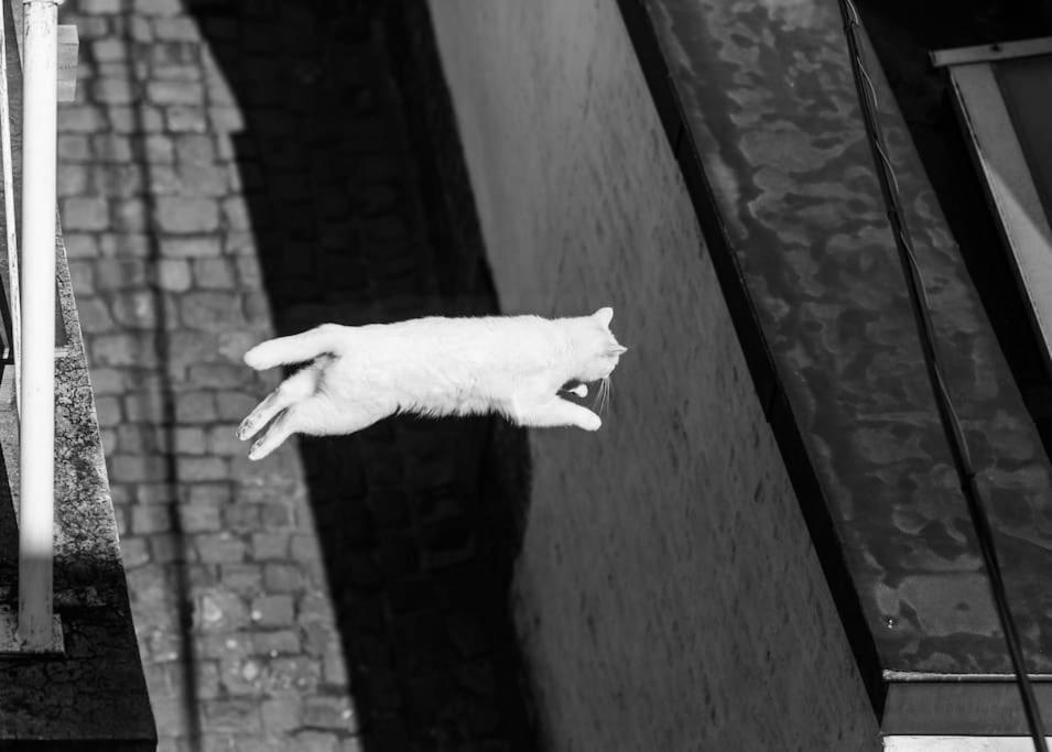 Dans L'impasse